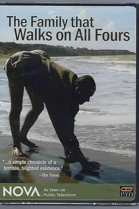    Documentary that explored the science and the story of five individuals in the Ulas family in Turkey that walk with a previously unreported quadruped gait.  